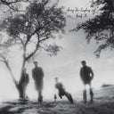 Josef K - Sorry for Laughing (Vinyl LP)