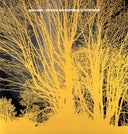 Nada Surf - The Stars Are Indifferent To Astronomy [LP]