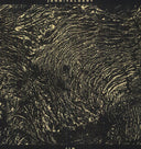 Fin [LP]