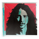 Chris Cornell - No One Sings Like You Anymore & No One Sings Like You Anymore (Picture Disc) & Euphoria Mourning & Higher Truth & Chris Cornell (2LP/180G)