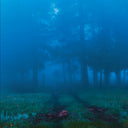 Commune [Vinyl]