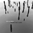 Possible Dust Clouds (INDIE EXCLUSIVE, SILVER VINYL) [Vinyl]