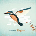 Prawn - Kingfisher (DELUXE EDITION, TAN/SEAFOAM AB VINYL) [Vinyl]