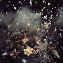 Until Silence [Vinyl]