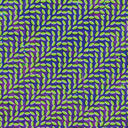 Animal Collective - Merriweather Post Pavilion [Vinyl]