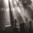 Veni Nox Anima [Vinyl]