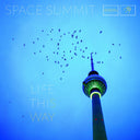 Life This Way [Vinyl]
