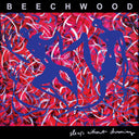 Sleep Without Dreaming (CLEAR RED VINYL) [Vinyl]