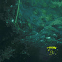 Fantasy (FOREST GREEN VINYL) [Vinyl]