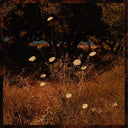 Szun Waves - Earth Patterns [Vinyl]