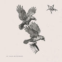 In Chaos Becrowned [Vinyl]