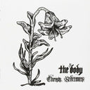 Christs, Redeemers (INDIE EXCLUSIVE, CLEAR VINYL) [Vinyl]