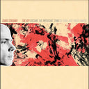 The Key (Became the Important Thing [& Then Just Faded Away]) [Vinyl]