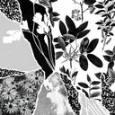 Mon herbier du monde entier [Vinyl]