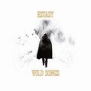Wild Songs [LP]