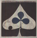Grizzly Bear - Shields [LP]
