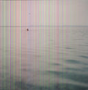 Swim [LP]