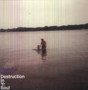 Destruction in Yr Soul [LP]