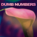 Dumb Numbers [Vinyl]