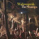 Widowspeak - The Swamps [LP]