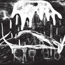 Preparations [LP]