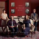 Lake Street Dive - Bad Self Portraits (Vinyl LP)