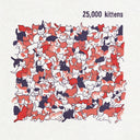 25,000 Kittens [Vinyl]