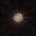 In the Hollows [LP]