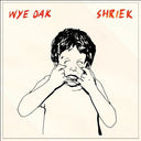 Shriek [Vinyl]