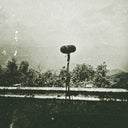 Shortwave Nights [Download Included] [180 Gram]