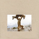 Shellac - Dude Incredible [CD]