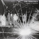 Terminals - Singles & Sundries [LP]