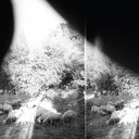 Godspeed You! Black Emperor - Asunder Sweet & Other Distress [CD]