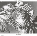 Persuasion [12" Vinyl]