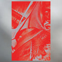 Olympic Mess [LP]