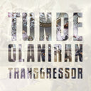 Tunde Olarian - Transgressor [Colored Vinyl] (Ltbl)