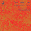 Destruction Unit - Negative Feedback Resistor [Vinyl]