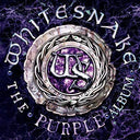 Purple Album (Bonus Track) [Limited Edition] (Jpn)