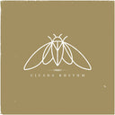 Cicada Rhythm - Cicada Rhythm [Vinyl]