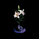 Songs One Through Eight [LP]