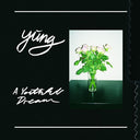 A Youthful Dream [Vinyl]