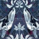 Mestis - Polysemy [Colored Vinyl] [Limited Edition] [Download Included]