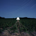 Escapements [LP]