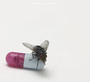 Red Hot Chili Peppers - I'm With You [Vinyl]