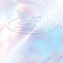 311 - 311 (30Th Anniversary) |