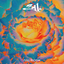 311 - Full Bloom (Coke Bottle Clear Colored Vinyl) |