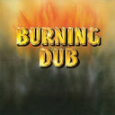 Revolutionaires - Burning Dub [LP]