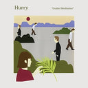 Guided Meditation [Vinyl]