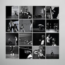 Music For Falling From Trees [LP]