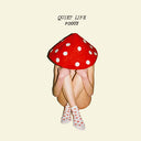 Quiet Life - Foggy [Vinyl]